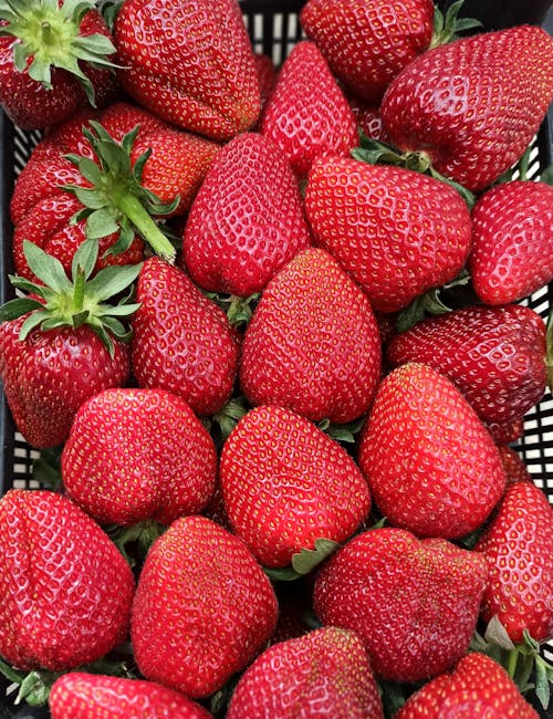 A close-up image of a black plastic crate filled with fresh, ripe strawberries. The strawberries vary in size and shape, with bright red skin covered in tiny yellow seeds and green leafy caps. The berries are densely packed within the crate, which is positioned outdoors on a surface suitable for loading or transport. The natural lighting highlights the glistening, juicy appearance of the fruit, indicating freshness. This image reflects elements of packing fresh produce, which can be relevant for home relocation services that include moving food items or specialty packing during house removals, as handled by Man with Van Strawberry Hill.